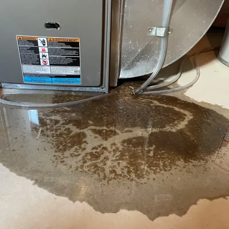 Appliance Leak Cleanup in Zephyrhills, FL